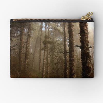 Foggy Evergreen Forest