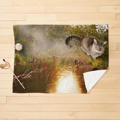 Foggy Forest Pond