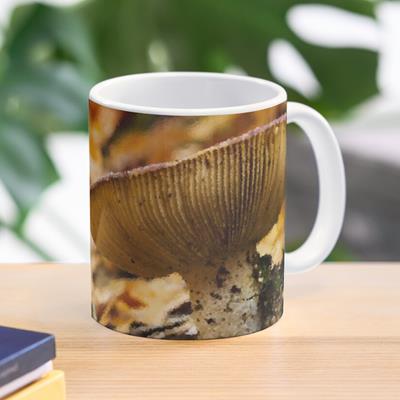 Frilled Mushroom