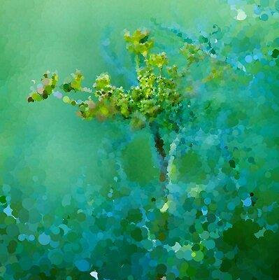 Green Dill