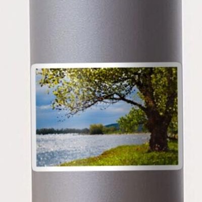 Leafy Tree on River Bank