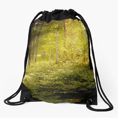 Magical Forest