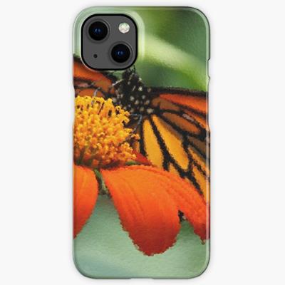 Monarch Butterfly and Flower