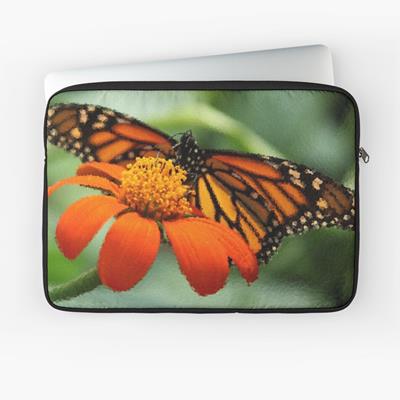Monarch Butterfly and Flower