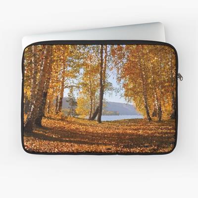 Path Through Fall Foliage
