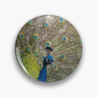 Peacock Plumiage