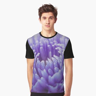 Purple Dahlia