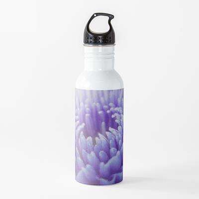 Purple Dahlia