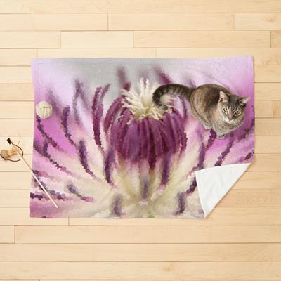 Purple and White Clematis