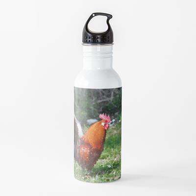 Red Rooster