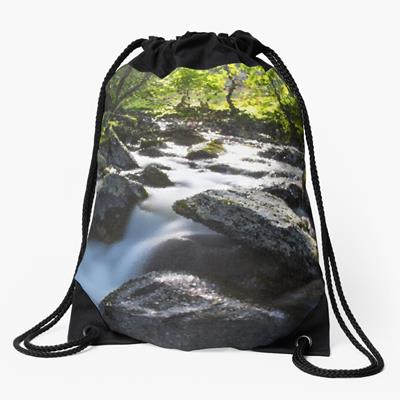 Rocky Forest Stream