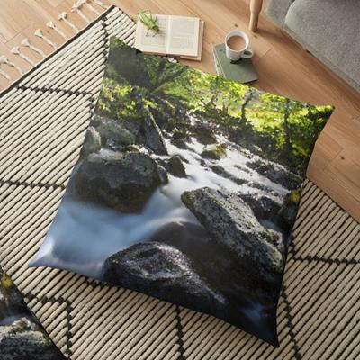Rocky Forest Stream