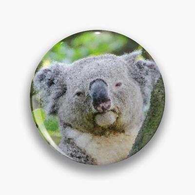 Sleepy Koala