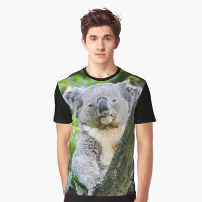 Sleepy Koala