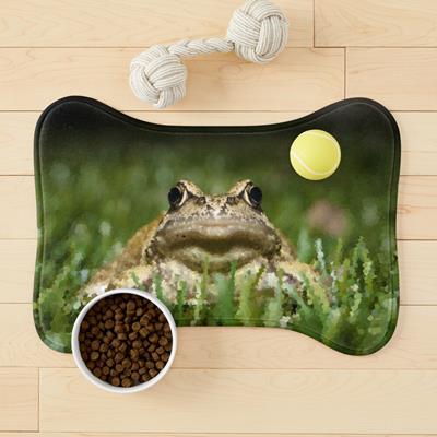 Slightly Judgmental Toad