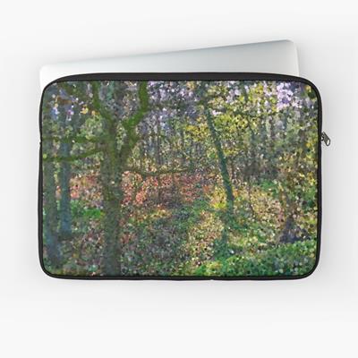 Vivid Autumn Forest