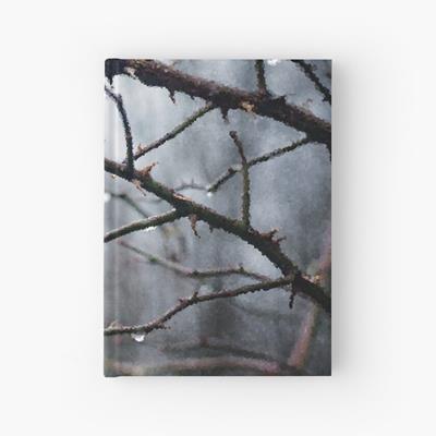 Waterdrops on Bare Branches