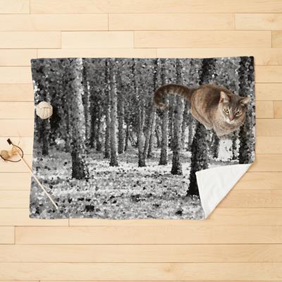 Woods in Black and White